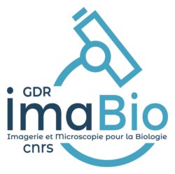 Logo_Imabio_2024_small.jpg